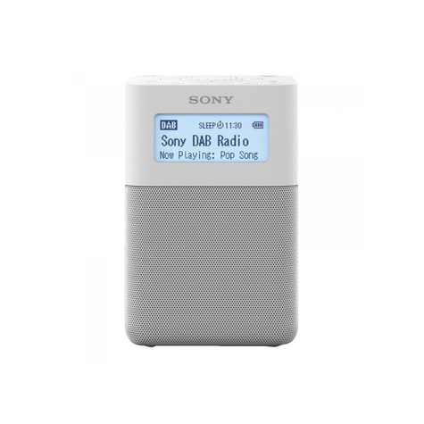 Sony Xdr-V20dw, Bärbar Dab/Dab+ Klockradio Med Högtalare, Silver