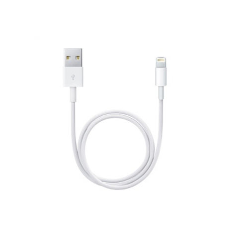 Apple Lightning Till Usb-Kabel (0,50 M)