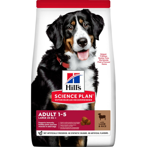 Hills,Hillsdog Ad Large Lamb+Re 14kg