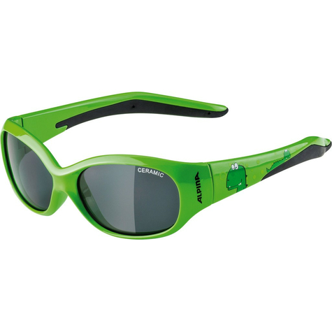 Sunglasses Alpina Flexxy Kids