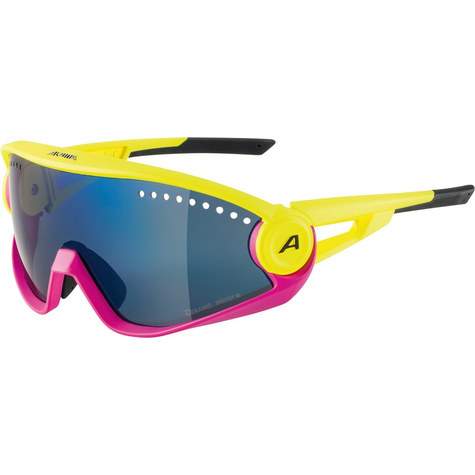 Sunglasses Alpina 5w1ng Cm+