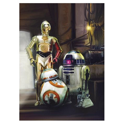 Photomurals  Photo Wallpaper - Star Wars Three Droids - Size 184 X 254 Cm
