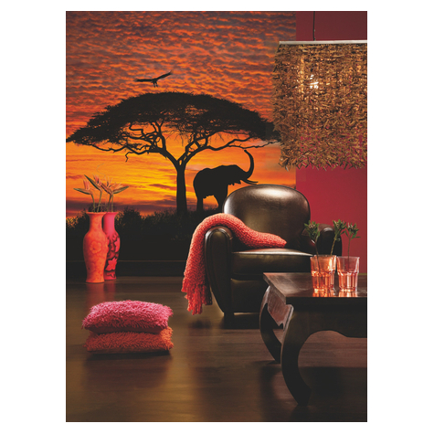 Papperstapet - African Sunset - Storlek 194 X 270 Cm