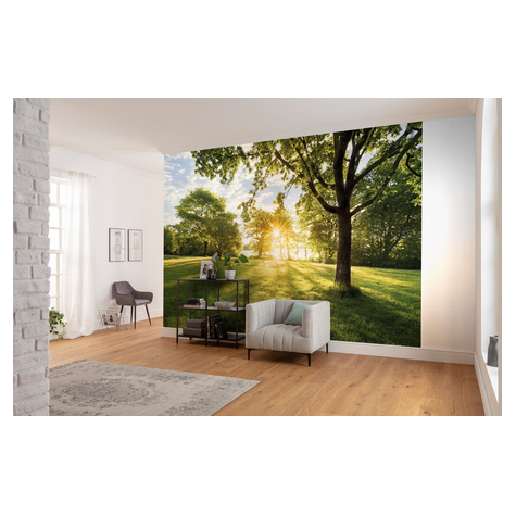 Photomurals  Photo Wallpaper - Golden Moment - Size 368 X 254 Cm