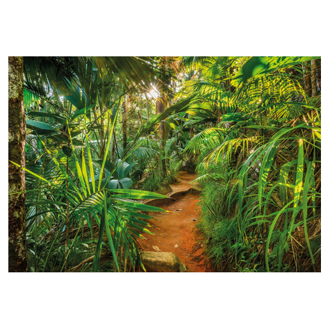 Photomurals  Photo Wallpaper - Jungle Trail - Size 368 X 254 Cm