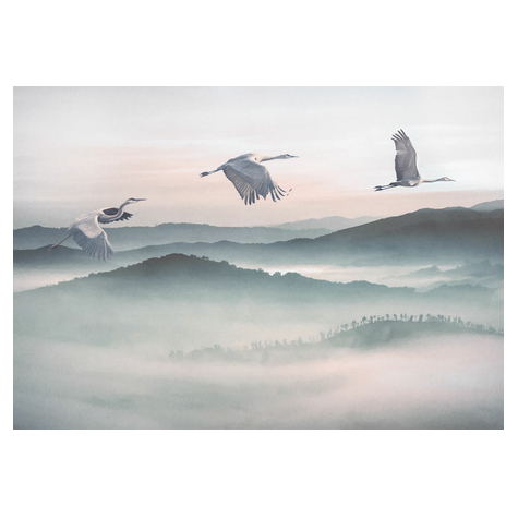 Fototapeter  - Mystic Cranes - Storlek 400 X 280 Cm