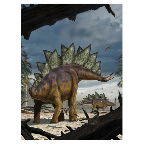 Fototapeter  - Stegosaurus - Storlek 184 X 248 Cm