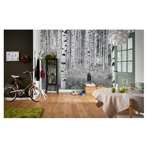 Non-Woven Wallpaper - Woods - Size 368 X 248 Cm