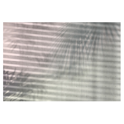 Non-Woven Wallpaper - Shadows - Size 368 X 248 Cm