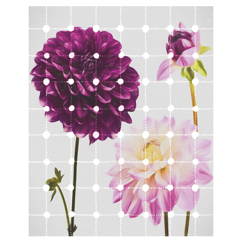 Non-Woven Wallpaper - Flowers & Dots - Size 200 X 250 Cm