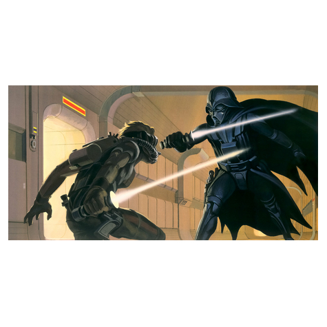 Non-Woven Wallpaper - Star Wars Classic Rmq Vader Vs Luke - Size 500 X 250 Cm