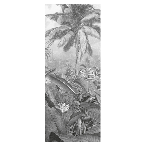 Fototapeter - Amazonia Black And White Panel - Storlek 100 X 250 Cm