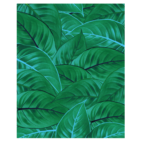Fototapeter  - Jungle Leaves - Storlek 200 X 250 Cm