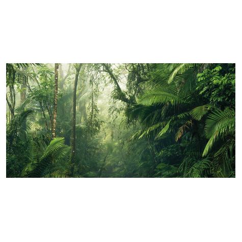 Fototapeter  - Tropical Worlds - Storlek 500 X 250 Cm