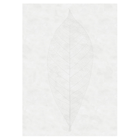 Fototapeter  - Decent Leaf - Storlek 200 X 280 Cm