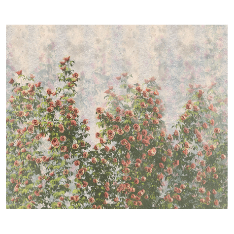 Fototapeter  - Wall Roses - Storlek 300 X 250 Cm