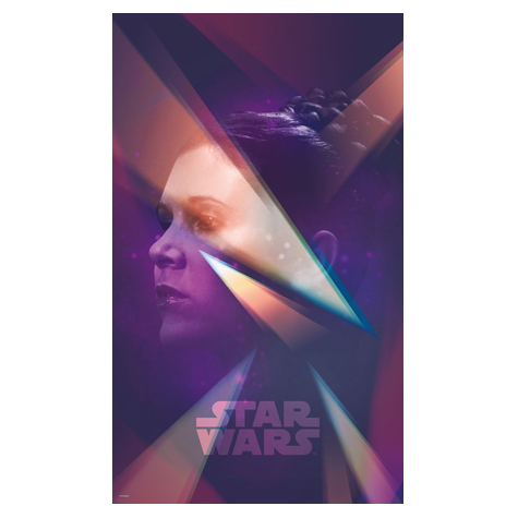 Non-Woven Wallpaper - Star Wars Female Leia - Size 120 X 200 Cm