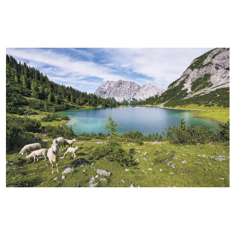 Fototapeter  - Paradise Lake - Storlek 400 X 250 Cm