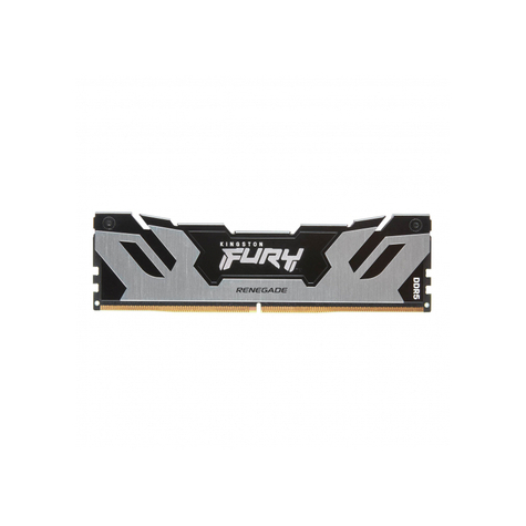 Kingston Fury Renegade 16 Gb 6400mt/S Ddr5 Cl32 Dimm Silver Kf564c32rs-16