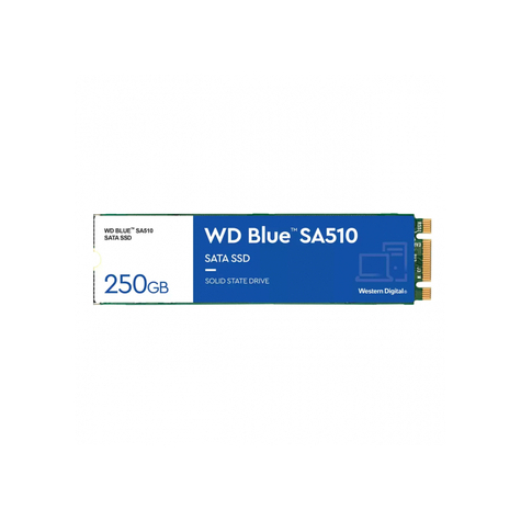 Wd Blue Sa510 M.2 250 Gb Sata Ssd Wds250g3b0b
