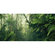 Fototapeter  - Tropical Worlds - Storlek 500 X 250 Cm