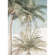 Fototapeter - Palm Oasis - Storlek 200 X 280 Cm