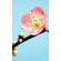 Fototapeter  - Peach Blossom - Storlek 150 X 250 Cm