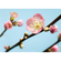 Fototapeter  - Peach Blossom - Storlek 350 X 250 Cm