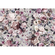 Fototapeter  - Lovely Blossoms - Storlek 350 X 250 Cm