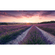 Fototapeter  - Lavender Dream - Storlek 450 X 280 Cm
