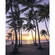 Non-Woven Wallpaper - Palmtrees On Beach - Size 200 X 250 Cm